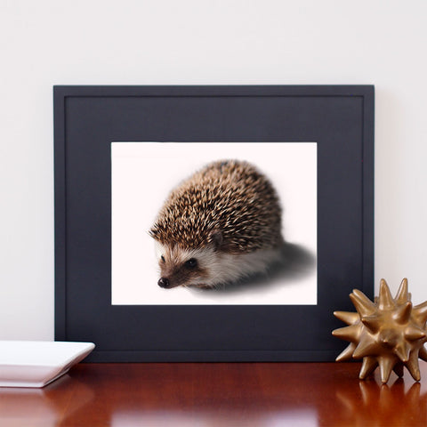 Hedgehog Art - Giclee Print