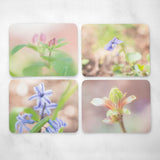 Nature Photography Flat Notecards with Envelopes