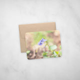 Nature Photography Flat Notecards with Envelopes