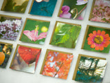 Nature Photography Enclosure Cards