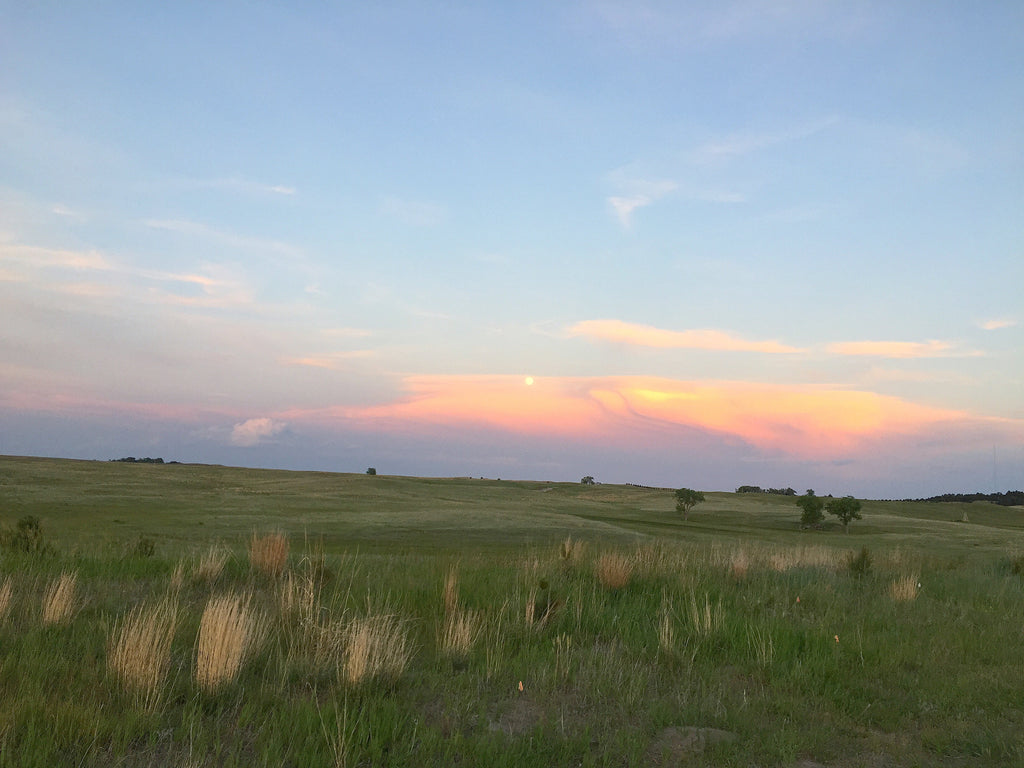 Spring Branding in the Nebraska Sandhills